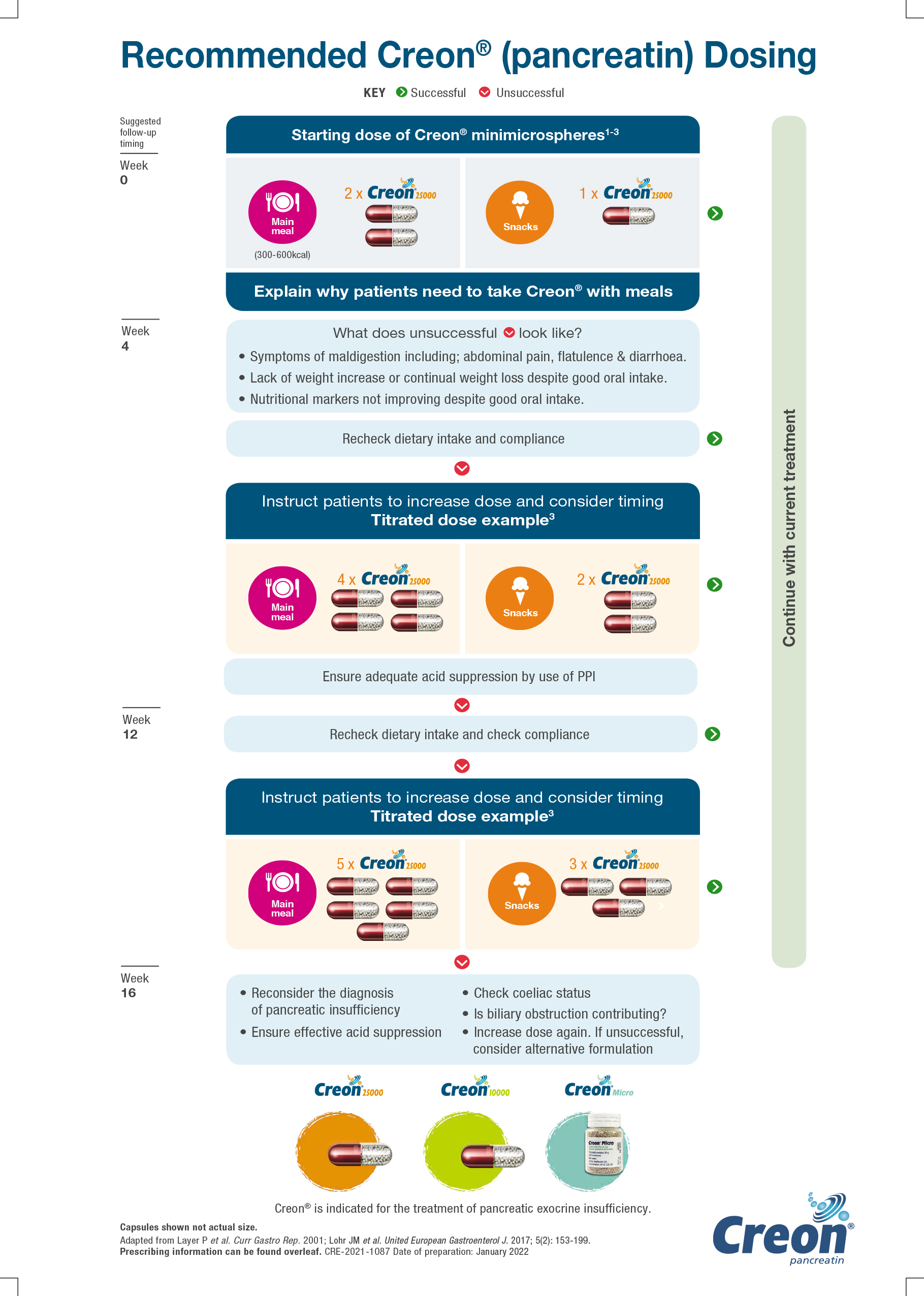 Creon Dosing In Adults Pancreatic Exocrine Insufficiency Treatment